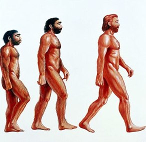 Фотография эволюция