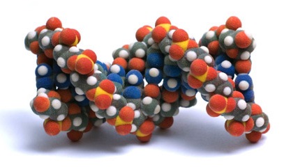 Фотография молекула